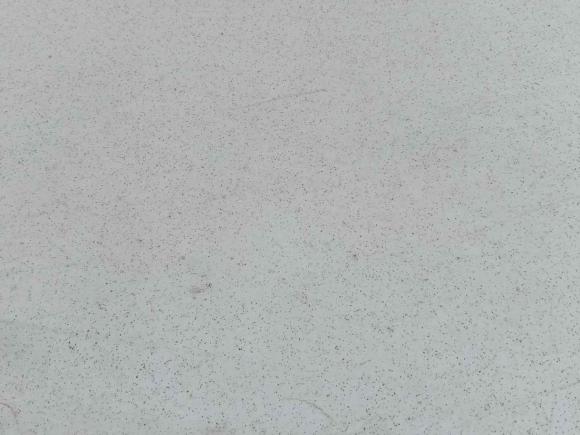 [佛山·粤E] 二手日产轩逸2020款 改款 1.6L XL CVT智享版