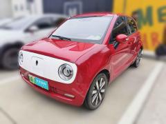 [杭州·浙A] 欧拉欧拉黑猫2019款 351km 女神版