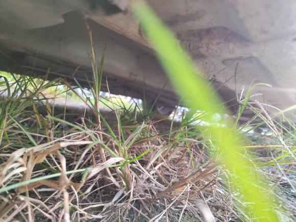 [上海·鲁R] 二手长安悦翔V72016款 1.6L 手动乐享型 国V