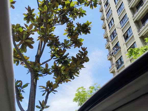 [上海·沪C] 二手马自达马自达82013款 2.5L 尊贵版