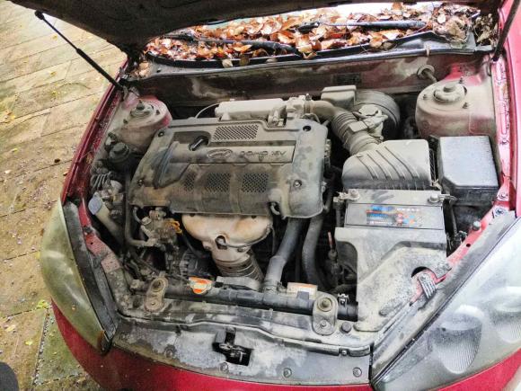 [台州·浙J] 二手现代酷派2006款 2.0L AT