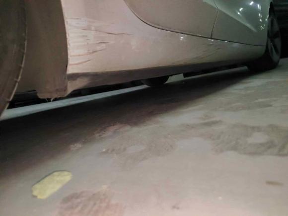 [上海·沪A] 二手特斯拉Model 32021款 标准续航后驱升级版