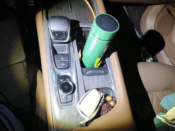 [芜湖·皖B] 二手奇瑞艾瑞泽82023款 高能版 2.0T DCT劲