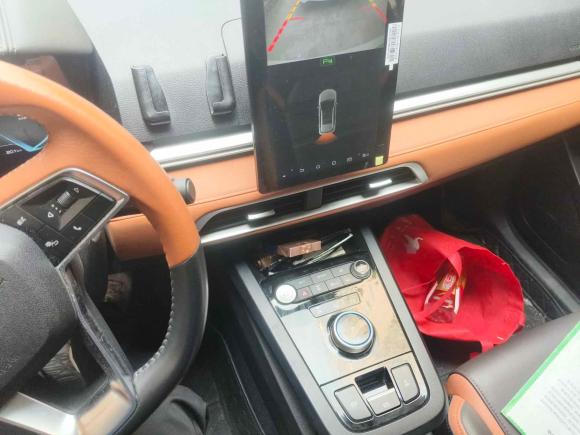 [温州·浙C] 二手比亚迪比亚迪e22021款 豪华型