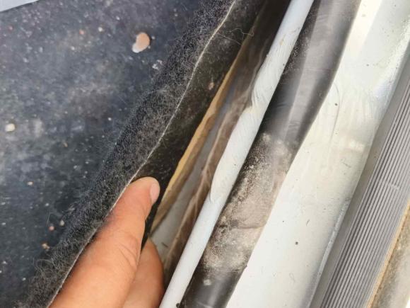 [济南·鲁A] 二手长安悦翔2019款 1.5L DCT舒适型 国VI