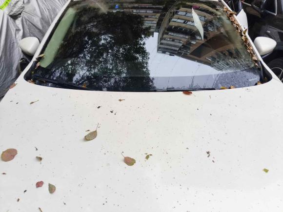 [上海·湘K] 二手马自达马自达3 昂克赛拉2021款 2.0L 自动质雅版