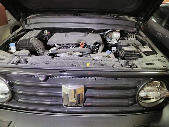 [苏州·闽B] 二手坦克坦克3002021款 越野版 2.0T 挑战者