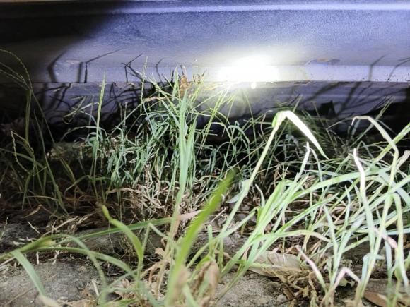 [武汉·鄂A] 二手大众朗行2013款 1.4TSI 自动豪华型