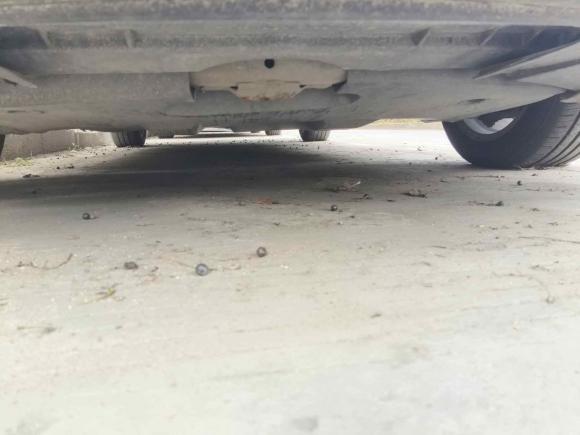 [温州·浙C] 二手马自达马自达62011款 2.0L 自动时尚型