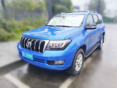 [杭州·浙D]恒天&nbsp;&nbsp;恒天L4600&nbsp;&nbsp;2023款 4.6L V8 领航版