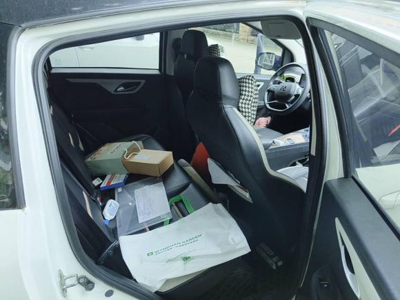 [成都·川A] 二手思皓花仙子2022款 花仙子款 四叶草