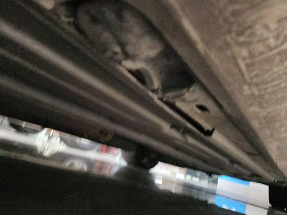 [宁波·浙B] 二手奔驰奔驰C级AMG2012款 AMG C 63 Coupe 动感型