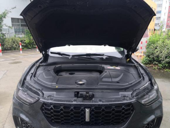 [上海·皖B] 二手魏牌魏牌 VV52017款 2.0T 旗舰型