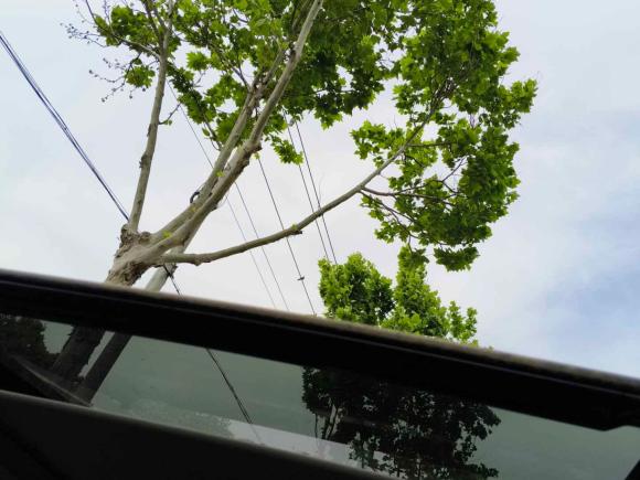 [南京·苏L] 二手哈弗哈弗大狗2021款 1.5T DCT两驱拉布拉多版