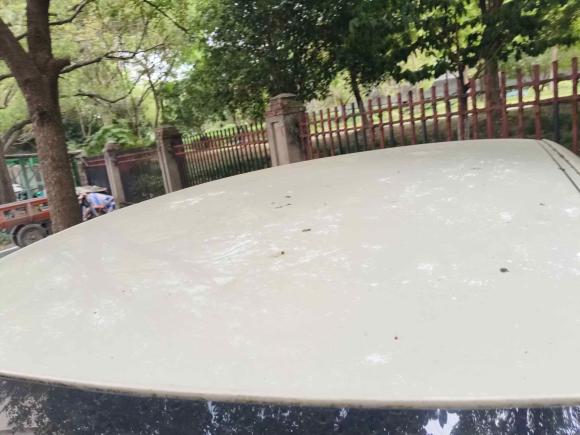 [杭州·浙H] 二手奥迪奥迪A12014款 30 TFSI 时尚型