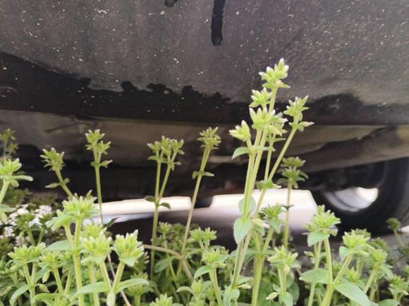 [义乌·浙G] 二手现代领动2018款 1.6L 自动15周年特别版