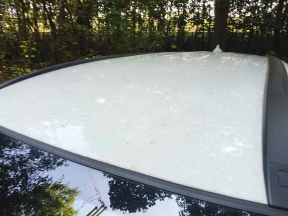 [南京·苏A] 二手哈弗哈弗M62021款 PLUS 1.5T DCT精英智联型