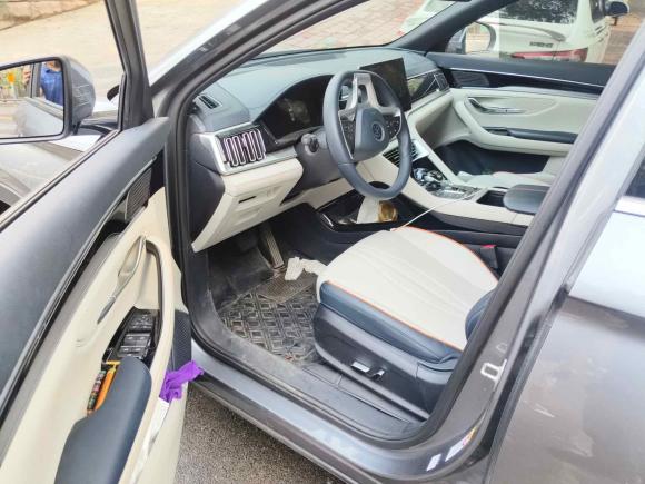 [济南·鲁A] 二手比亚迪宋PLUS新能源2021款 EV 尊贵型