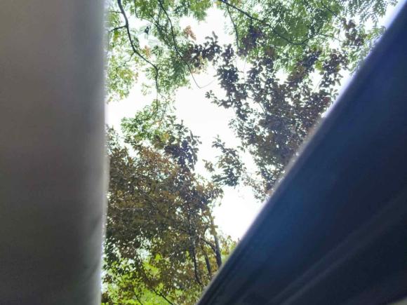 [杭州·浙A] 二手大众捷达2013款 1.6L 自动舒适型