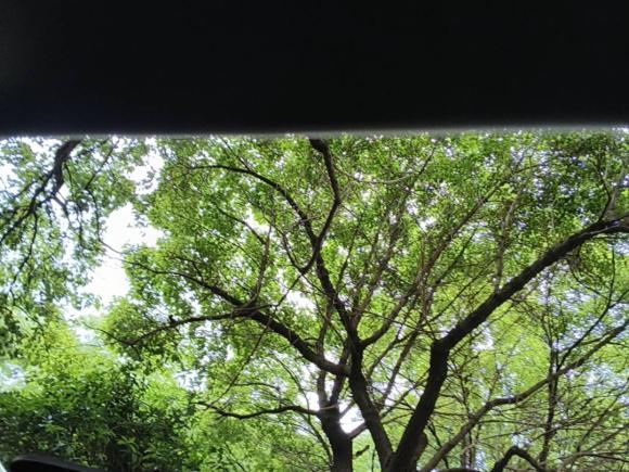 [上海·沪A] 二手荣威荣威RX5新能源2017款 eRX5 50T 混动互联尊荣旗舰版