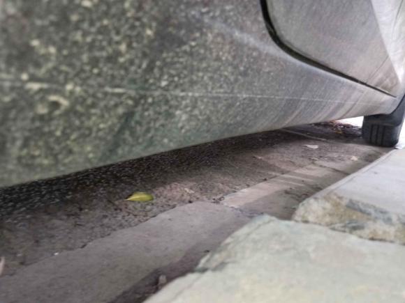 [南京·苏A] 二手铃木启悦2015款 1.6L 自动舒享型