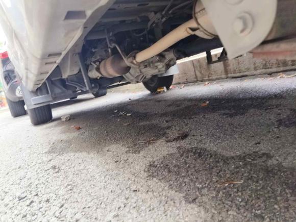 [上海·苏G] 二手金杯新海狮S2019款 1.5L厢货财富版国VI SWC15M