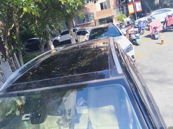 [南京·苏A] 二手雷诺科雷傲2010款 2.5L 四驱BOSE限量版