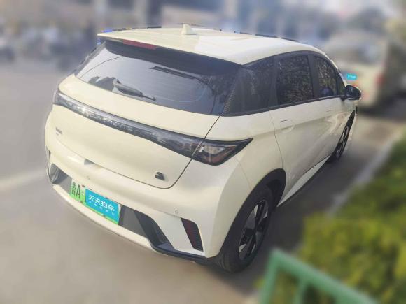 [济南·鲁A] 二手比亚迪海豚2023款 420km 自由版