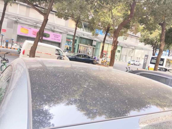 [成都·川A] 二手极氪极氪0012021款 超长续航双电机 YOU版