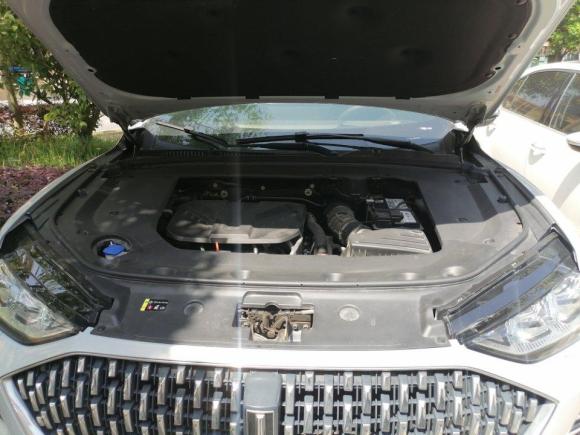 [上海·浙E] 二手魏牌摩卡2021款 2.0T 两驱特醇版