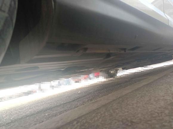 [嘉兴·浙F] 二手福特福克斯2012款 两厢 1.6L 自动舒适型