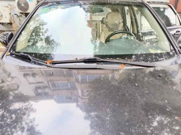 [上海·皖K] 二手起亚狮跑2013款 2.0L 手动两驱版GL