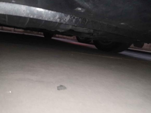 [上海·苏U] 二手本田雅阁2016款 2.0L 精英版