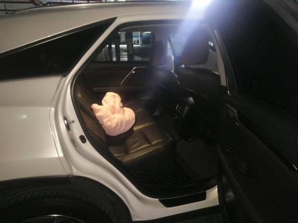 [宁波·浙B] 二手雷克萨斯雷克萨斯RX2016款 300 四驱典雅版 国V