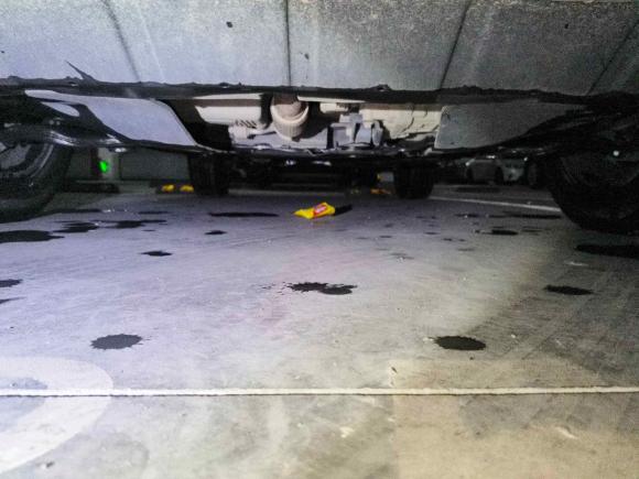 [湖州·浙E] 二手比亚迪宋Pro2019款 1.5T 自动尊贵型