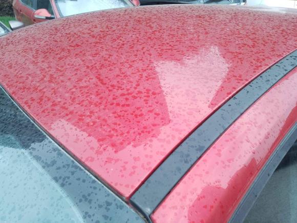 [无锡·苏E] 二手福特福克斯2018款 两厢经典 1.6L 自动舒适型智行版