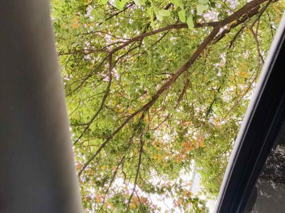 [嘉兴·浙F] 二手Jeep自由光2017款 2.0L 优越版