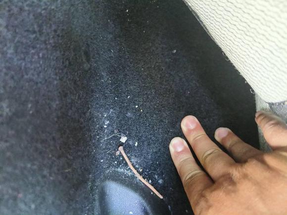 [合肥·皖A] 二手雪铁龙爱丽舍2014款 1.6L 手动时尚型CNG