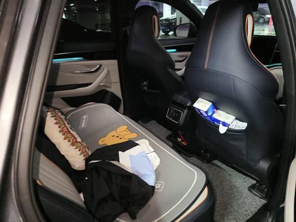 [南京·苏A] 二手比亚迪宋PLUS新能源2021款 EV 尊贵型