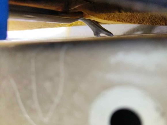 [佛山·粤E] 二手福特福克斯2012款 两厢 1.6L 手动风尚型