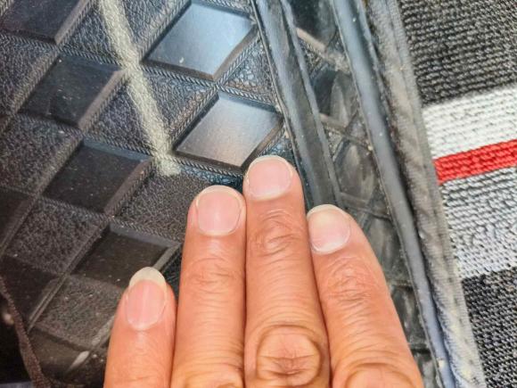 [合肥·皖A] 二手福特蒙迪欧2022款 改款 EcoBoost 245 豪华型