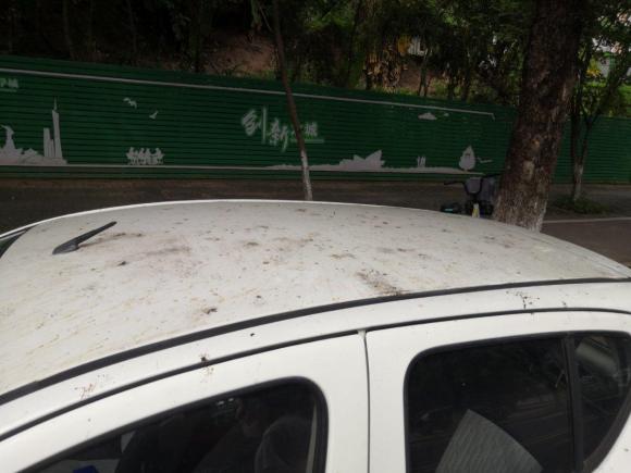 [广州·粤A] 二手铃木奥拓2013款 1.0L 手动舒适型