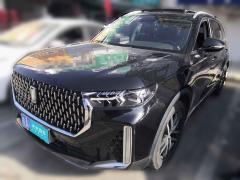 [合肥·皖A] 奔腾奔腾T992020款 20TD 自动尊享型