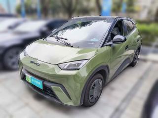 比亚迪海鸥2023款 活力版「深圳二手车」「天天拍车」