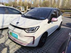 [天津·津A] 思皓花仙子2022款 花仙子款 四叶草