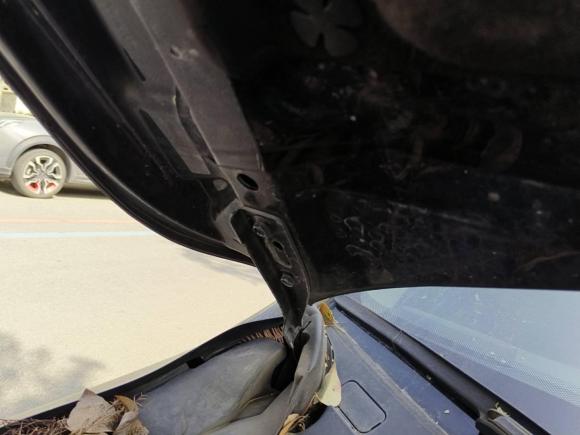 [温州·浙C] 二手本田雅阁2016款 2.0L 舒适版