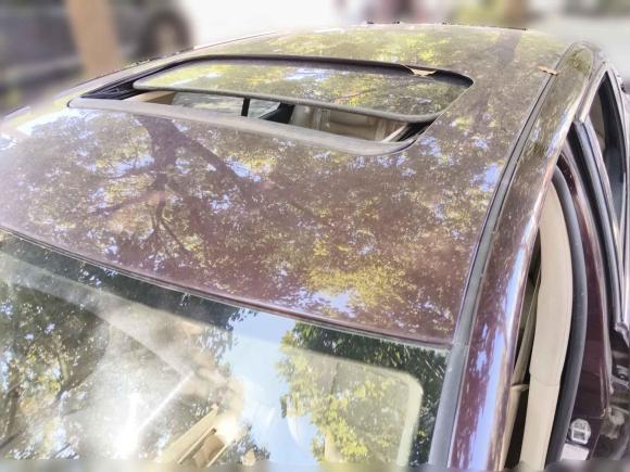 [合肥·皖A] 二手斯柯达昊锐2012款 1.8TSI 自动优雅版