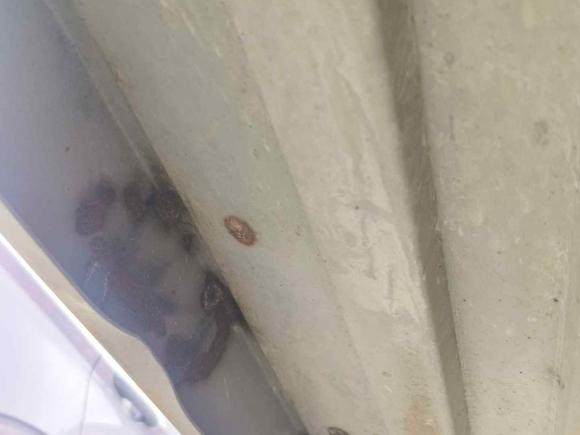 [嘉兴·蒙B] 二手长安跨越跨越者D52021款 1.6L标准版单排栏板双后轮3750mm货箱DAM16KL