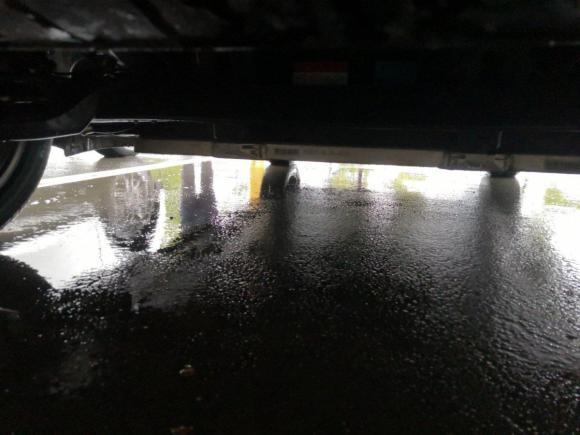 [常州·苏D] 二手欧拉欧拉黑猫2021款 351km 标准型