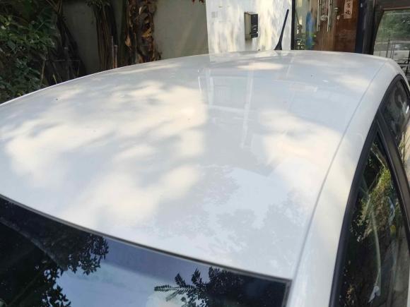 [上海·沪B] 二手大众Polo2016款 1.4L 手动风尚型